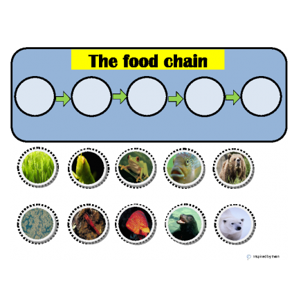 Food Chains Cut & Paste
